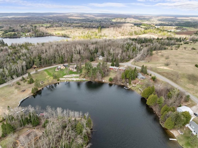 15757 Lakeway Dr, Wolverine, MI 49799 - aerial view featuring a water view