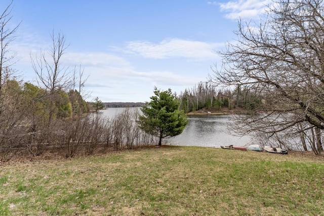 15757 Lakeway Dr, Wolverine, MI 49799 - water view