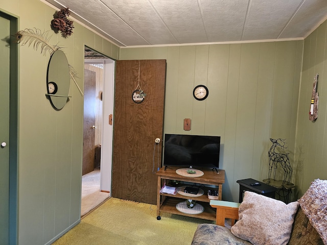 living area featuring carpet flooring
