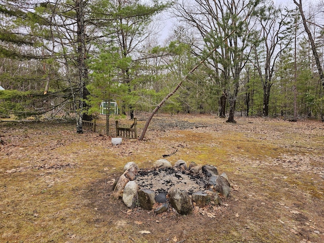 view of yard with a wooded view
