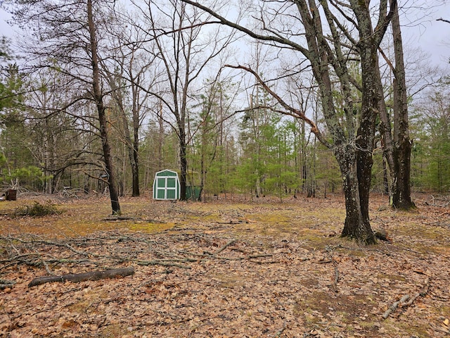 view of yard with a forest view, a shed, and an outbuilding