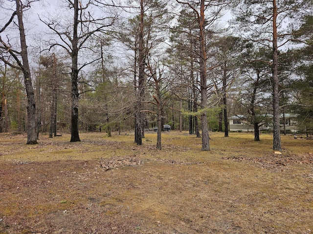 view of landscape