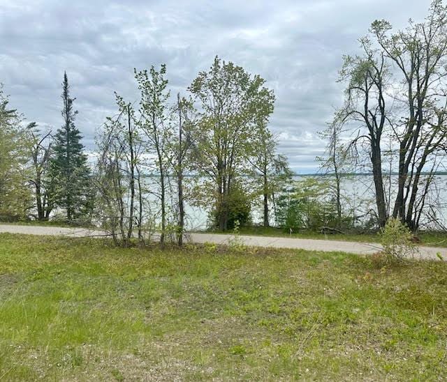 3659 N Straits Hwy, Cheboygan, MI 49721 - view of yard