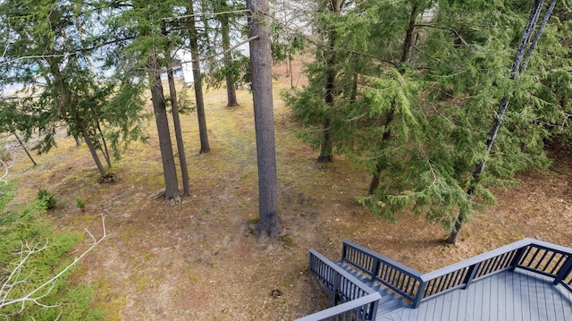 5012 Green Acre Dr, Frederic, MI 49733 - view of yard