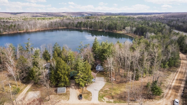5012 Green Acre Dr, Frederic, MI 49733 - aerial view of a forest and a large body of water