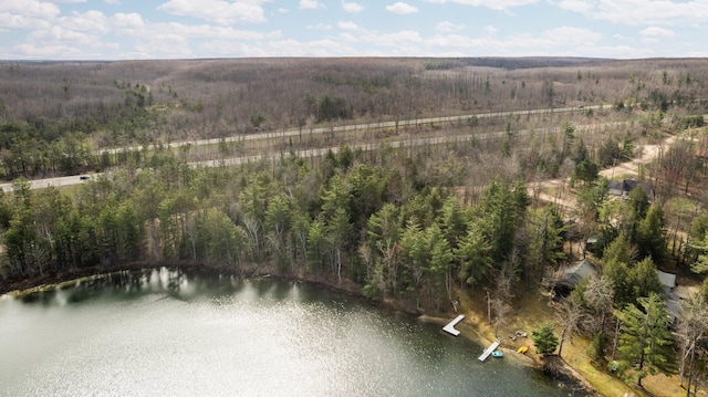 5012 Green Acre Dr, Frederic, MI 49733 - aerial view of property and surrounding area with a forest and a large body of water