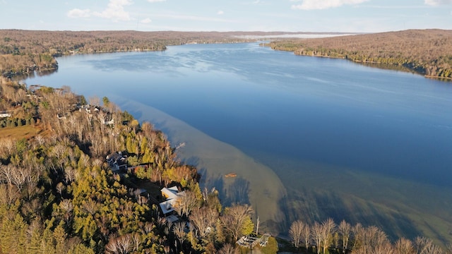 835 M-88, Bellaire, MI 49615 - aerial view of property's location with a forest and a nearby body of water