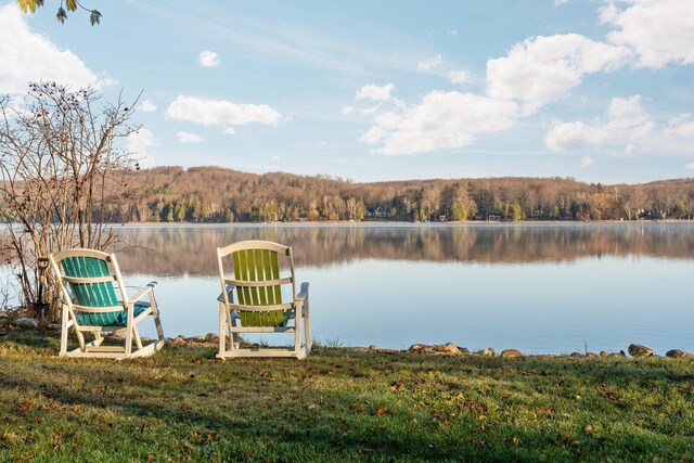 835 M-88, Bellaire, MI 49615 - dock featuring a forest view and a water view