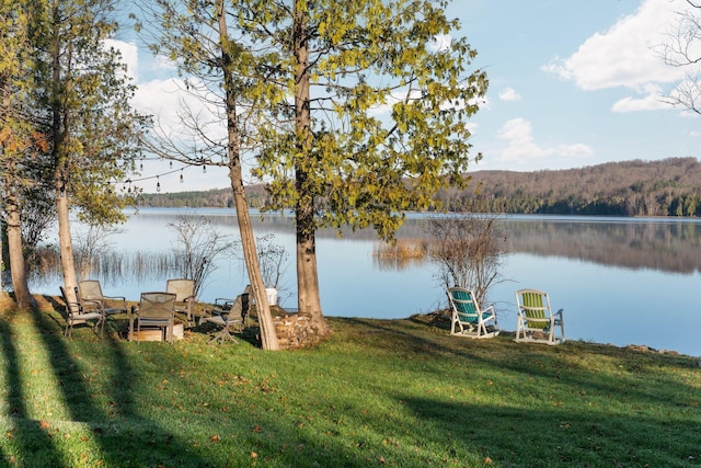 835 M-88, Bellaire, MI 49615 - dock area with a water view, a lawn, and a view of trees