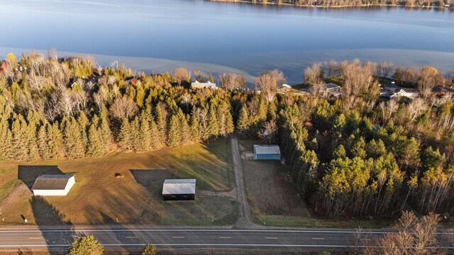 835 M-88, Bellaire, MI 49615 - aerial view