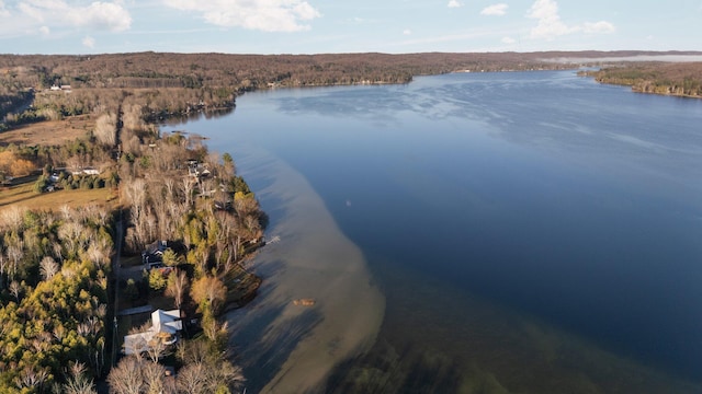 835 M-88, Bellaire, MI 49615 - aerial view of property's location with a large body of water and a forest