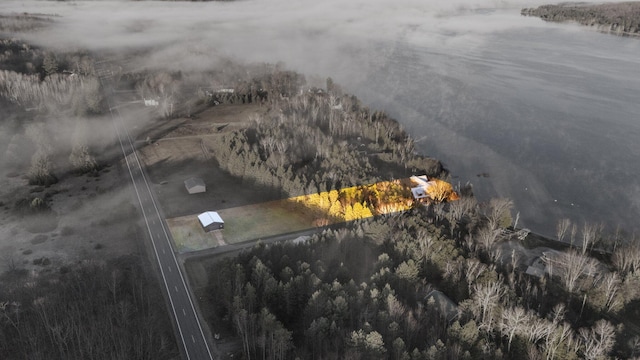835 M-88, Bellaire, MI 49615 - bird's eye view of a large body of water