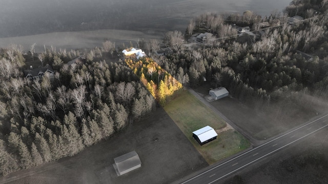 835 M-88, Bellaire, MI 49615 - drone / aerial view