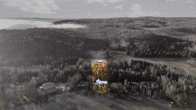 835 M-88, Bellaire, MI 49615 - aerial view of a forest