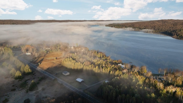 835 M-88, Bellaire, MI 49615 - aerial view of a large body of water