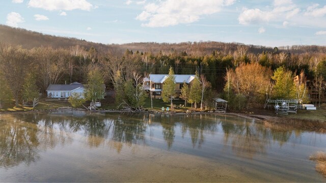 835 M-88, Bellaire, MI 49615 - water view featuring a forest