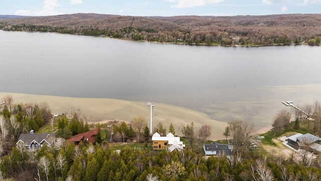 835 M-88, Bellaire, MI 49615 - water view featuring a forest