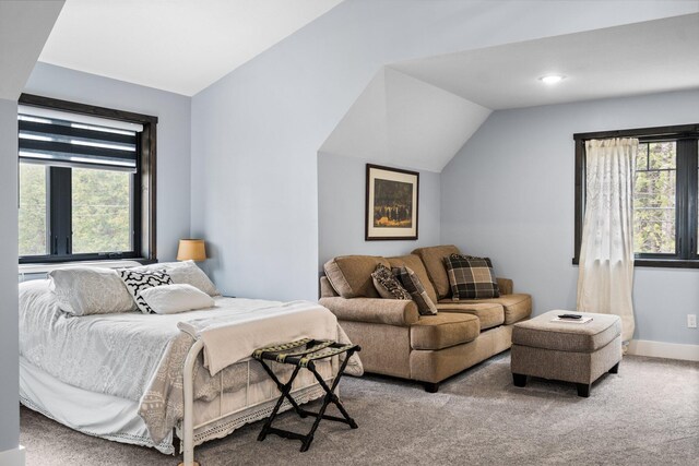 835 M-88, Bellaire, MI 49615 - bedroom with lofted ceiling, carpet floors, and baseboards