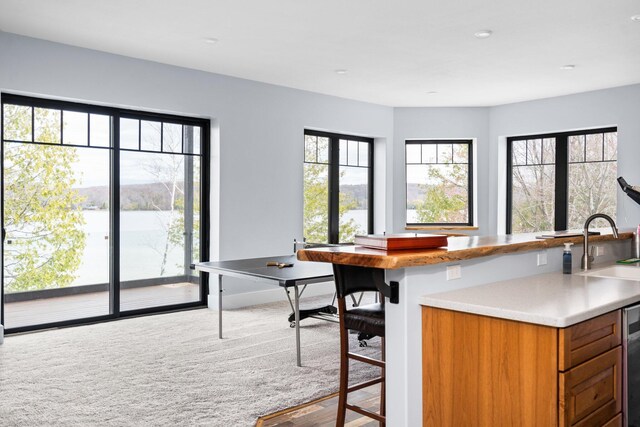 835 M-88, Bellaire, MI 49615 - kitchen with brown cabinets, light countertops, a sink, and carpet floors