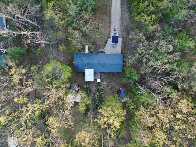 3313 Pleasant View Dr, Lewiston, MI 49756 - view of subject property