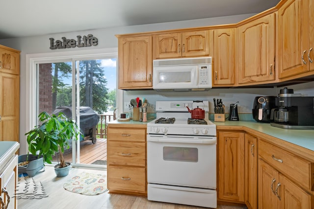 3897 S Mielke Way Rd, Lewiston, MI 49756 - kitchen featuring light wood-style floors, light countertops, and white appliances