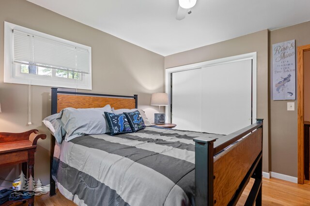 3897 S Mielke Way Rd, Lewiston, MI 49756 - bedroom featuring a closet and light wood-style floors