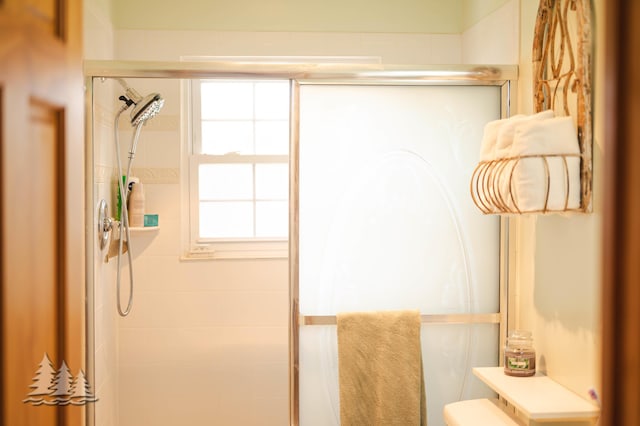 3897 S Mielke Way Rd, Lewiston, MI 49756 - full bath with a shower stall and toilet