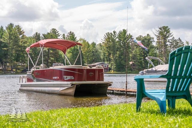 3897 S Mielke Way Rd, Lewiston, MI 49756 - view of jungle gym with a water view and a dock