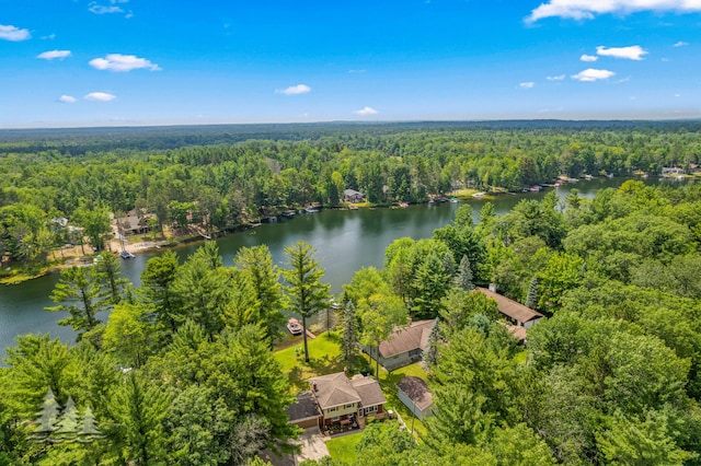 3897 S Mielke Way Rd, Lewiston, MI 49756 - bird's eye view featuring a water view and a wooded view