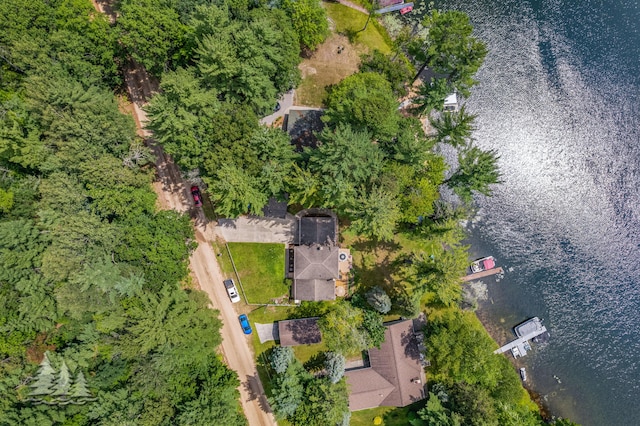 3897 S Mielke Way Rd, Lewiston, MI 49756 - bird's eye view featuring a water view