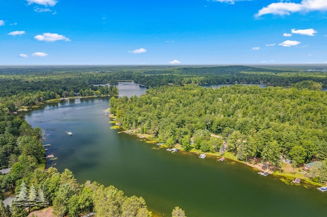 3897 S Mielke Way Rd, Lewiston, MI 49756 - aerial view with a forest view and a water view