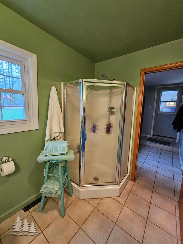 3897 S Mielke Way Rd, Lewiston, MI 49756 - bathroom with tile patterned flooring, baseboards, and a stall shower