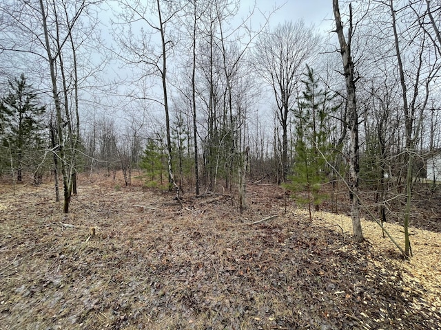 LOT54 Pineview Dr, Mancelona, MI 49659 - photo 3
