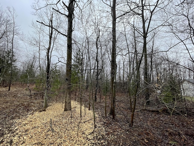 LOT54 Pineview Dr, Mancelona, MI 49659 - photo 4