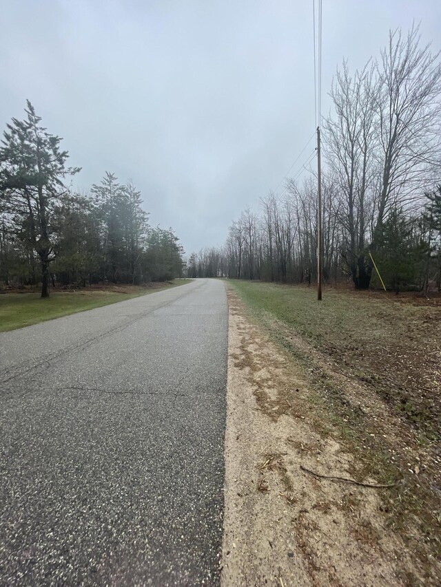 LOT54 Pineview Dr, Mancelona, MI 49659 - photo 5