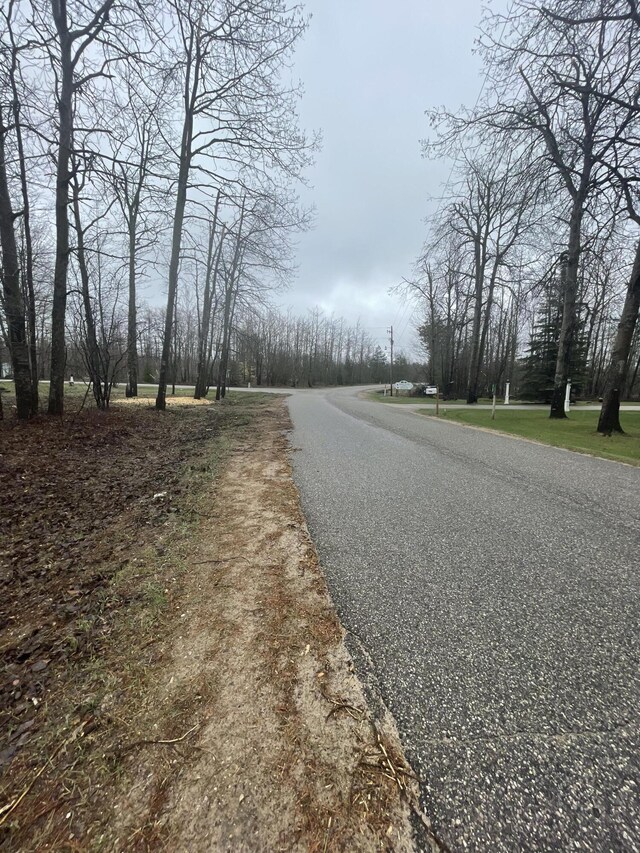 LOT54 Pineview Dr, Mancelona, MI 49659 - photo 6
