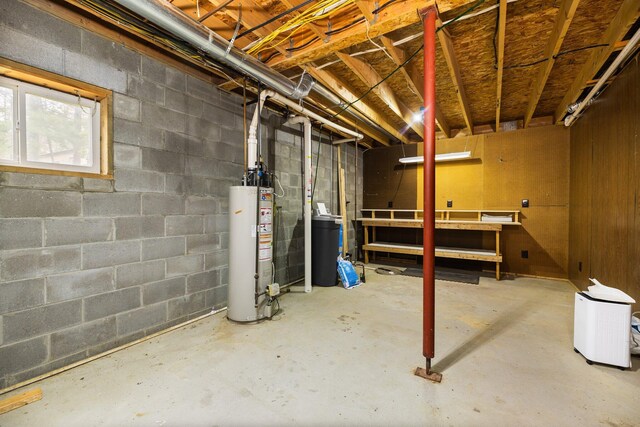1350 Pine Point Dr, Lewiston, MI 49756 - below grade area featuring water heater and concrete block wall