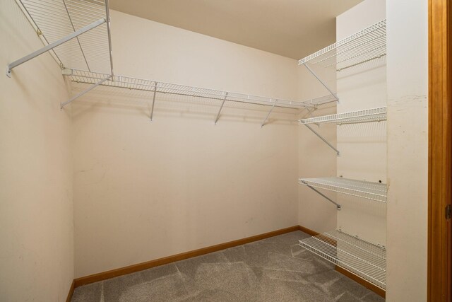 1350 Pine Point Dr, Lewiston, MI 49756 - walk in closet with carpet flooring