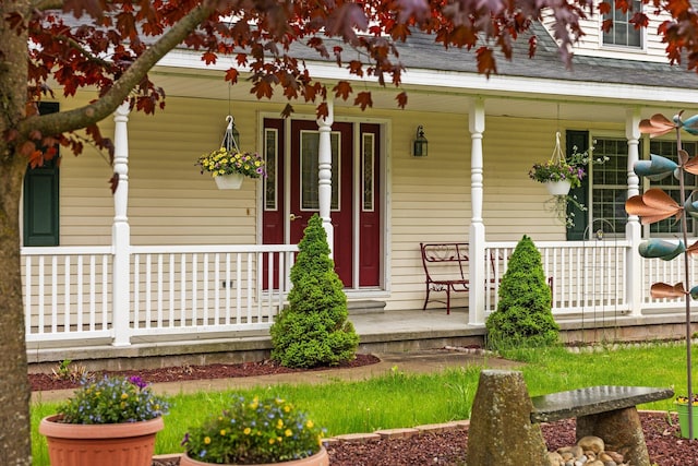 1350 Pine Point Dr, Lewiston, MI 49756 - view of exterior entry featuring a porch and a shingled roof