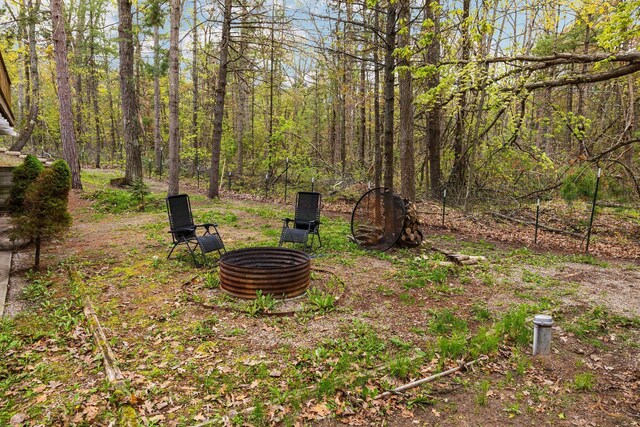 1350 Pine Point Dr, Lewiston, MI 49756 - view of yard with a fire pit