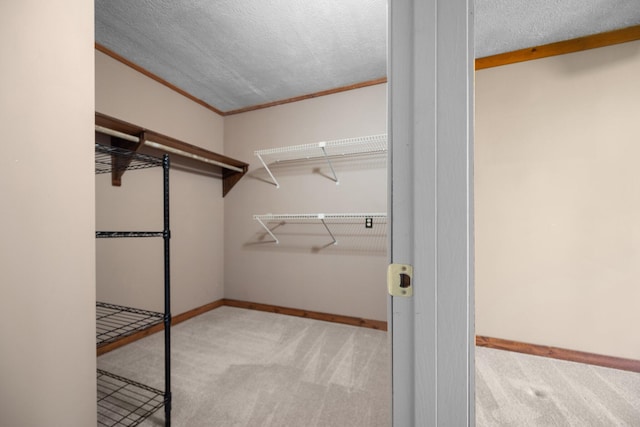 4441 Judy Ave, Lewiston, MI 49756 - spacious closet featuring carpet floors