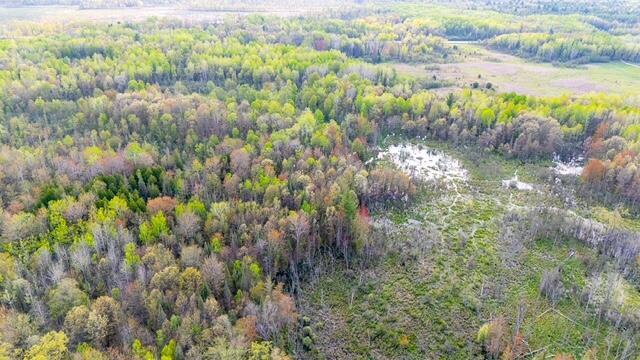 S Harrison Rd, Houghton Lake, MI 48629