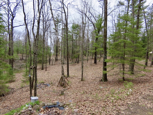 view of nature