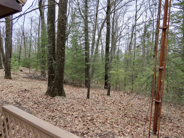 view of yard featuring a forest view