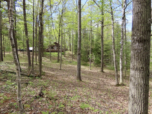 15709 Pleasant Valley Rd, Atlanta, MI 49709 - photo 57