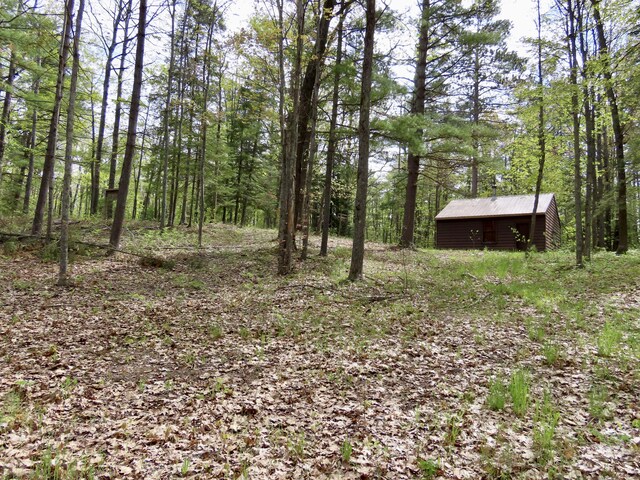 15709 Pleasant Valley Rd, Atlanta, MI 49709 - photo 10