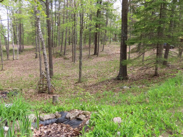 15709 Pleasant Valley Rd, Atlanta, MI 49709 - photo 58