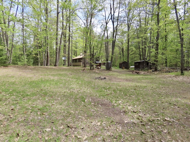 15709 Pleasant Valley Rd, Atlanta, MI 49709 - photo 62