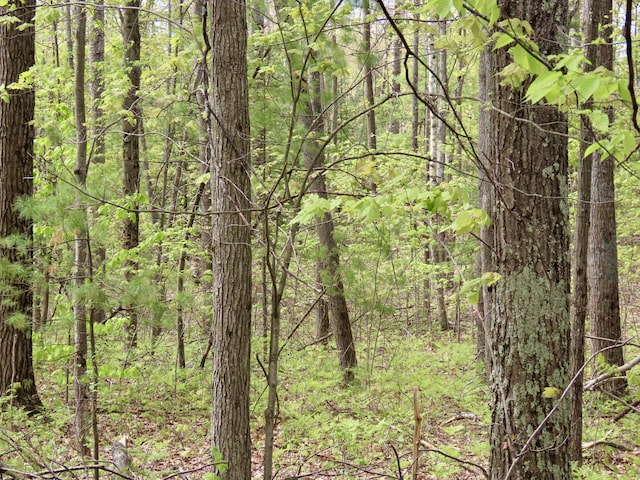 15709 Pleasant Valley Rd, Atlanta, MI 49709 - photo 63