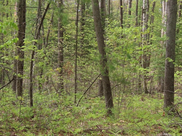15709 Pleasant Valley Rd, Atlanta, MI 49709 - photo 64